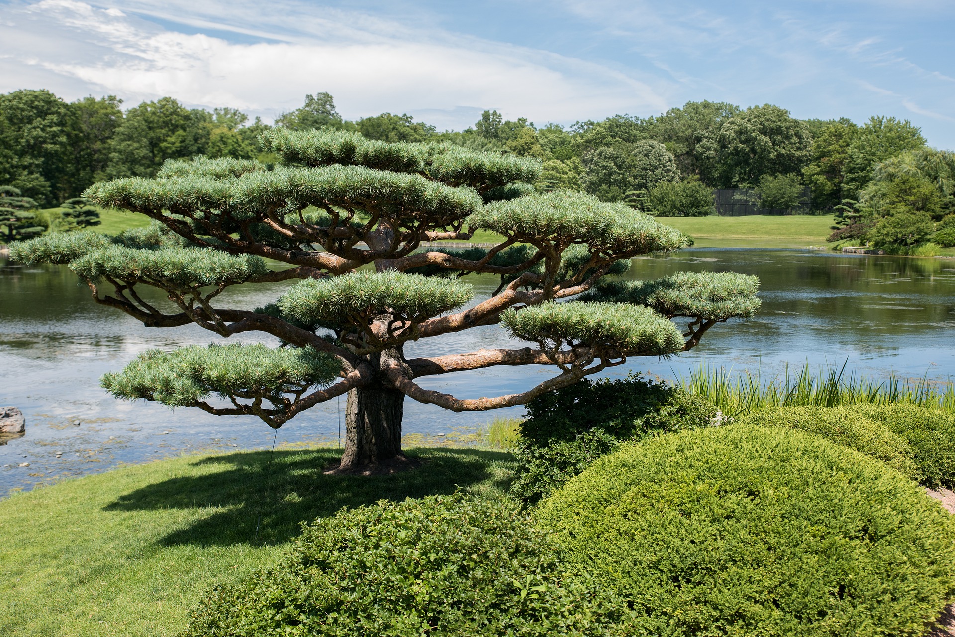 Explore The Serene Oases: A Guide To Sherwood Park's Enchanting Parks